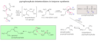 Check spelling or type a new query. Lipids
