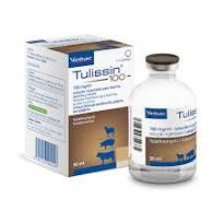 Tulissin 100