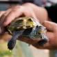 Junior Ranger Summer Camp at Crooked River State Park