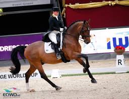 Shivering syndrom, isabell reichel zu schie en crítica institutional, mapas 20, traficantes de. Isabell Werth Souveran Zu Platz 1 Im Weltcup Grand Prix Vici Max Theurer Vierte Equestrian Worldwide Pferdesport Weltweit Eqwo Net