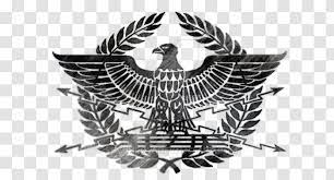 Ancient Rome Spqr Aquila Eagle T Shirt Tattoo Transparent Png Russia emoji was approved as part of emoji 11.0 standard in 2018 with a u+1f1f7 u+1f1fa codepoint and currently is listed in 🏁 flags category. ancient rome spqr aquila eagle t shirt