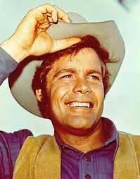 Resultado de imagem para Doug McClure