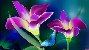 Flower Full Hd 3d Wallpapers 1920x1080 Nature Full hd 3d background wallpaper images for desktop pc, laptop, mac, android phone, tablet, apple iphone, ipad and other deices.