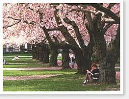 We did not find results for: Cherry Valley Lakes Rv Campground Beaumont California Us Parkadvisor