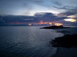 StoryTIME— Real life stories from scientists in the field