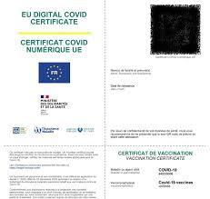 People who have received the covid vaccine can download the covid vaccine certificate online. Fwy2kskwqjqg M