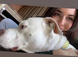 Chicago Realtor (@taylornirchi) • Instagram photos and videos