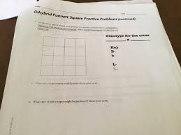 You are a product of your family and your environment. Date Dihybrid Punnett Square Practice Problems Chegg Com