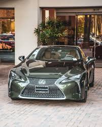 Image result for Nori Green 2024 LC