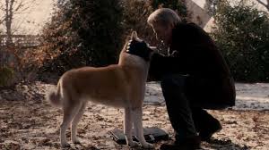 Putin cu cățelușul său alabai numit verni, 2017. Why Putin Refused To Accept A Hachiko As A Gift From Abe Russia Beyond