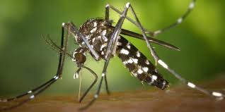 News source: Orange Actualités