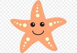 Marine Life Octopus Deep Sea Creature Clip Art Png 600x573px Marine Life Animal Aquatic Animal Can