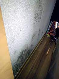Die lösung sind schränke ohne rückwände. Uberraschung Beim Fruhjahrsputz Schimmel Hinter Dem Schrank Abdichtungssysteme Reiner Reutlingen