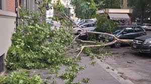 FirenzeToday - News update