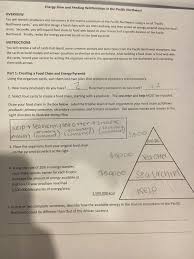 The name of the first trophic level in a food chain is. Energy Flow And Feeding Relationships In The Pacific Northwest Overview You Will Identify Producers And Consumers In The Marine Ecosystem Of The Course Hero