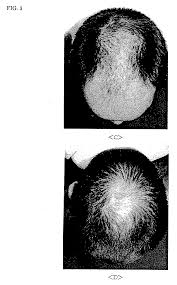 Image result for Scleria melanotricha