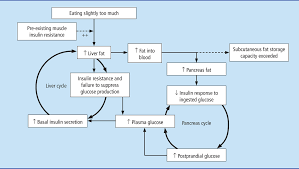 Although there are many similarities between type 1 and type. Type 2 Diabetes Remission Latest Evidence For Health Care Professionals Taylor 2020 Practical Diabetes Wiley Online Library