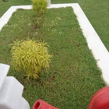 Diduga batu ini berasal dari zaman prasejarah. Photos At Tanah Perkuburan Batu Muda