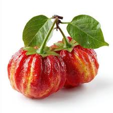 Image result for Gilgiochloa