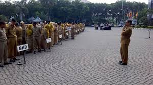 Untuk tunjangan pns yang melekat yakni tunjangan anak, tunjangan suami/istri, dan tunjangan makan. Tenaga Non Pns Gresik Ditertibkan Kabargresik Com