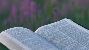 Exhortation meaning in the bible. How Should We Interpret The Bible Common Questions Biologos