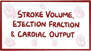 Image result for Cardiac Output