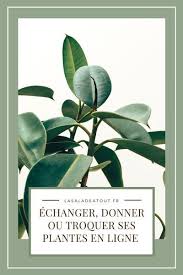 Homoplantus Vente Don Et Troc De Plantes Entre Particuliers Plantes En Ligne Plante Acheter Des Plantes En Ligne
