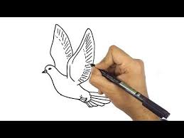 تعليم الرسم للاطفال كيف ترسم حمامة جميلة خطوة بخطوة للمبتدئين youtube drawings art