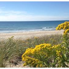 Check spelling or type a new query. Photos At Goosewing Beach Little Compton Ri