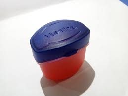 Aloevera vaseline lip balm stick 4.8g pelembab bibir petroleum jellyrp23.000: Berber Shop