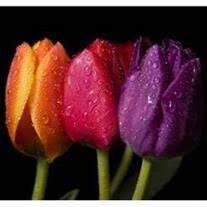 Edith Merle McManus Teasley, Obituary