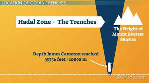 The mariana trench in the pacific ocean is the deepest part of the world's oceans. Deep Ocean Trench Definition Examples Video Lesson Transcript Study Com