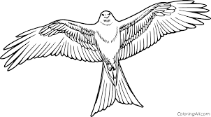 Some of the coloring page names are kite coloring large images coloring zoo coloring cool coloring, large kite template clipart best, kite coloring large images, a large kite coloring coloring kite tattoo easy coloring, kite with bows coloring spring, kite coloring kidsuki, literary hoots storytime kites, kite template 20 in pdf illustration. Kite Bird Coloring Pages Coloringall