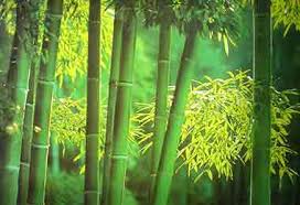 Cobam bambus terrassendielen exclusive exklusiver bodenbelag für terrassen und balkone. Bambusparkett Massivholzplatten Terrassendielen Bambooshop24