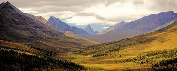 Maybe you would like to learn more about one of these? Fall Colors In Tombstone Territorial Park Yukon Canada 5996x2435 Oc Earthporn