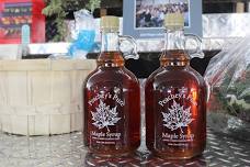 Finger Lakes Benefit Grocery/Craft Auction & Rib Dinner