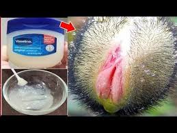 Pin By جيهان هزايمة On Sante Et Fitness Cotton Candy Machine Hair Mask Candy Machine