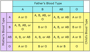Biology Blood Circulation Blood Groups