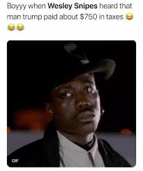 Wesley trent snipes (born july 31, 1962) is an american actor, film producer, martial artist, and author. Pin By Harold Brown Jr On Political Funny Gif Wesley Snipes World Star