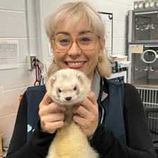 California Online Vet Appointments