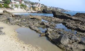 The water level is rising. Tide Pools Orange County California Beaches
