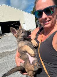 Triple A Contracting LLC