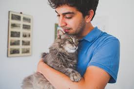 Cat Lovers Connect and Create Feline-Focused Couples
