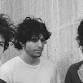 Wallows