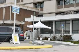 Fraser health chief medical health officer dr. Fraser Health Trail Daily Times