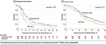 By giovanni ceresoli and colleagues testing tumour treating fields (ttfields) for inoperable malignant pleural mesothelioma. Critical Review Of The Addition Of Tumor Treating Fields Ttfields To The Existing Standard Of Care For Newly Diagnosed Glioblastoma Patients Sciencedirect