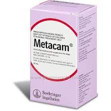 We did not find results for: Pet Meds No Prescription Required Meloxicam Oral Suspension