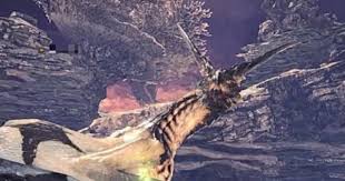 Image result for Hunteria congolana