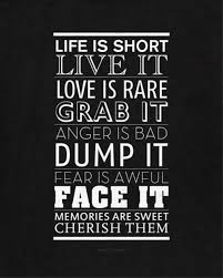 Life Is Short Live It Love Is Rare Grab It Anger Is Bad Dump It Fear Is Awful Face It Memories Are Sweet Cherish Them Silly Quotes Words Funny Quotes