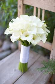 Check spelling or type a new query. 470 Lillies Wedding Flowers Ideas Wedding Flowers Wedding Bouquets Wedding
